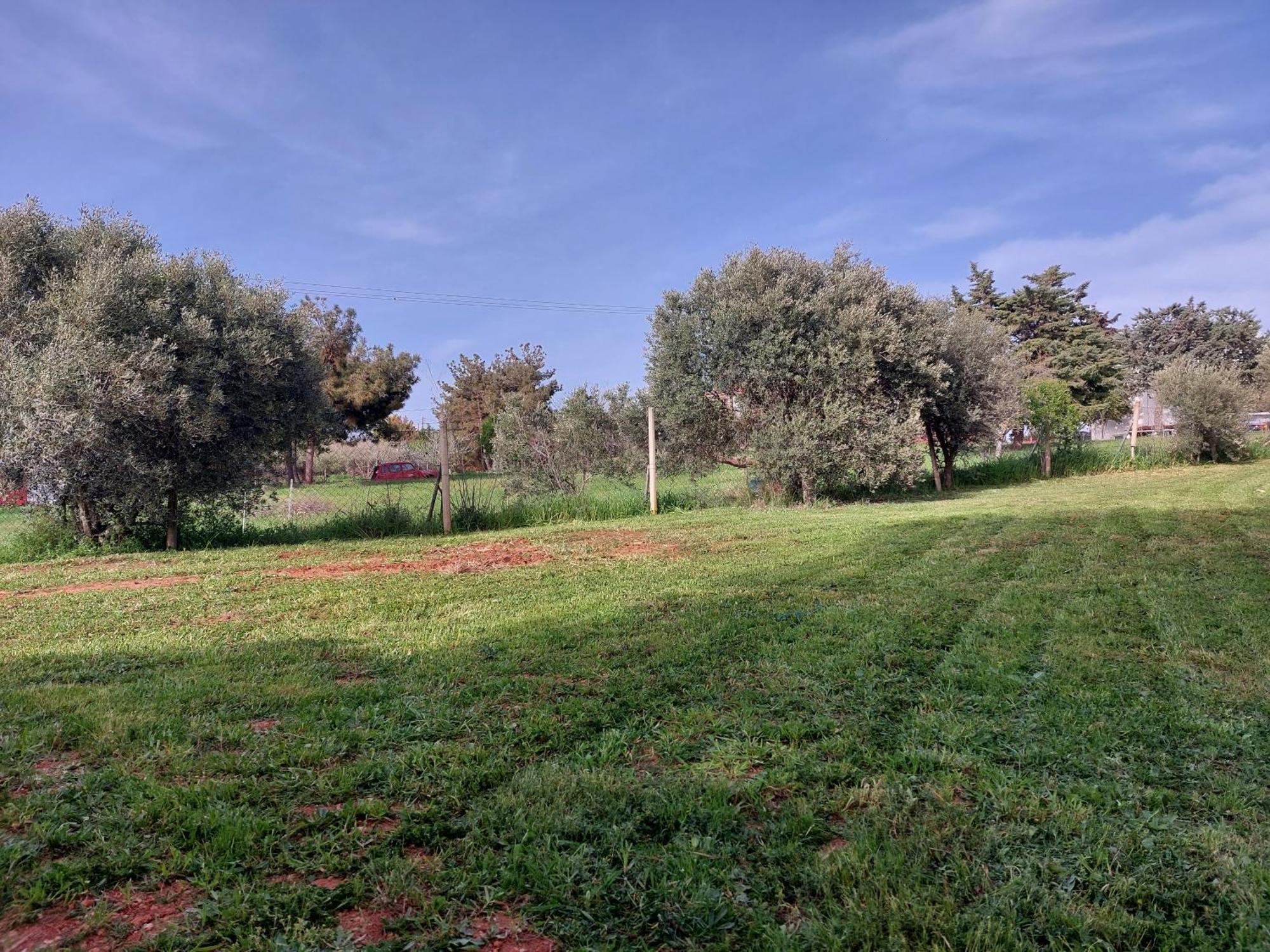 Black N' White Cozy Housegarden Alexandroupoli Exterior photo
